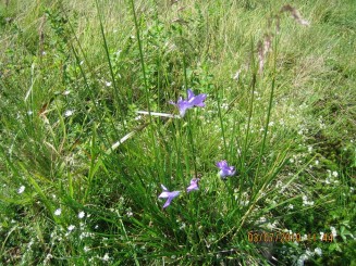 Weekend in Maramures