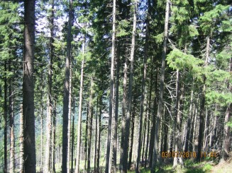 Weekend in Maramures