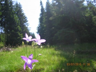 Weekend in Maramures