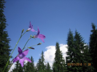 Weekend in Maramures