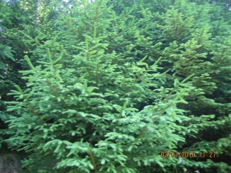 Weekend in Maramures