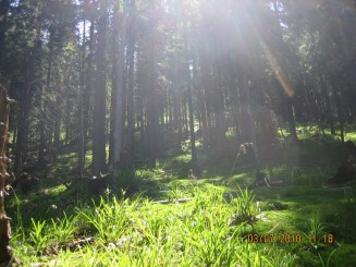 Weekend in Maramures