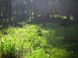 Weekend in Maramures