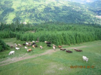 Weekend in Maramures