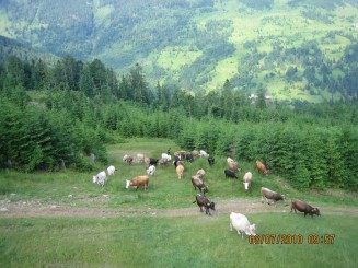 Weekend in Maramures