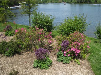Primavara in Parcul Herastrau
