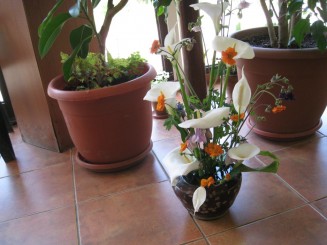 Primavara in Parcul Herastrau