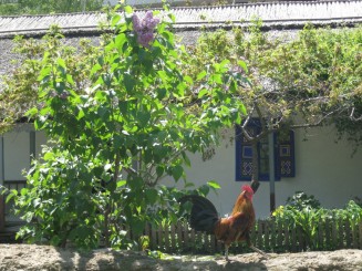 Bucuresti, Muzeul satului