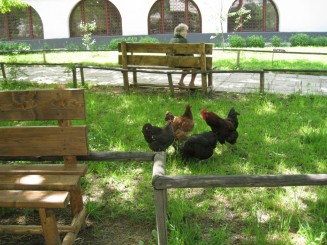 Bucuresti, Muzeul satului