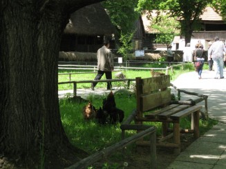 Bucuresti, Muzeul satului