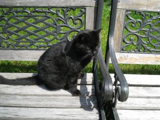 Bucuresti, Muzeul satului