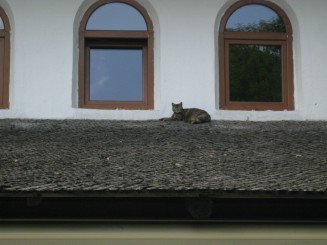 Bucuresti, Muzeul satului