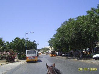 La Valletta, Malta - Grand Hotel Excelsior, şi  ,,City Sightseeing Tour''cu trăsură