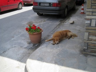 Grecia, Halkidiki: Ouranopolis