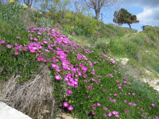 Grecia, Halkidiki: Ouranopolis