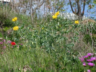 Grecia, Halkidiki: Ouranopolis