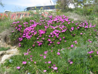 Grecia, Halkidiki: Ouranopolis