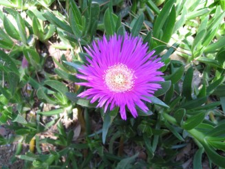 Grecia, Halkidiki: Ouranopolis