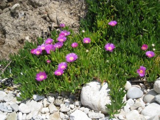 Grecia, Halkidiki: Ouranopolis