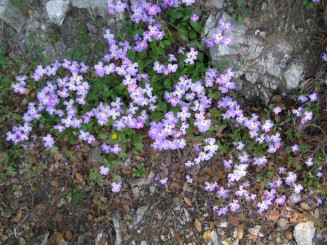 Grecia, Halkidiki: Ouranopolis