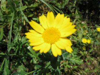 Grecia, Halkidiki: Ouranopolis