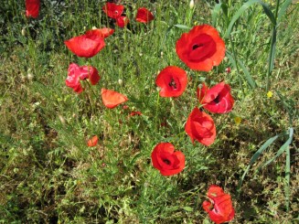 Grecia, Halkidiki: Ouranopolis