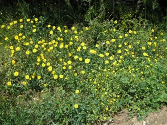 Grecia, Halkidiki: Ouranopolis