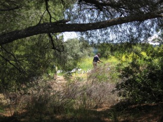 Grecia, Halkidiki: Ouranopolis (au si ei boschetarii lor)