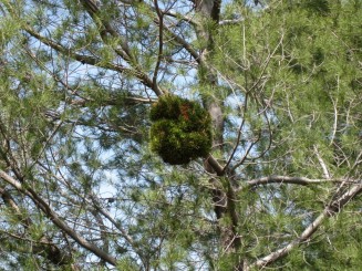 Grecia, Halkidiki: Ouranopolis