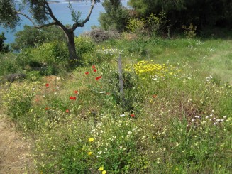 Grecia, Halkidiki: Ouranopolis
