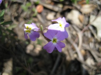 Grecia, Halkidiki: Ouranopolis
