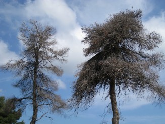 Grecia, Halkidiki: Ouranopolis