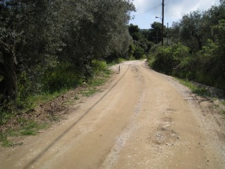 Grecia, Halkidiki: Ouranopolis (pisicile, celebre in Grecia)