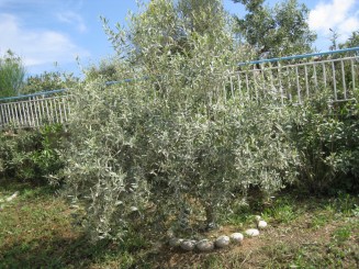 Grecia, Halkidiki: Ouranopolis