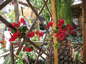 Grecia, Halkidiki: Ouranopolis