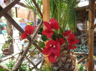 Grecia, Halkidiki: Ouranopolis