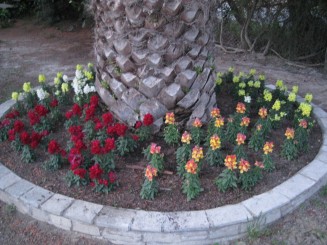 Grecia, Halkidiki: Ouranopolis (Hotel Eagles Palace)