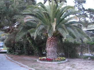 Grecia, Halkidiki: Ouranopolis (Hotel Eagles Palace)