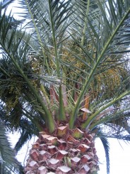 Grecia, Halkidiki: Ouranopolis