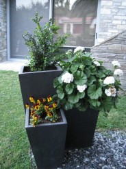 Grecia, Halkidiki: Ouranopolis (Hotel Eagles Palace)