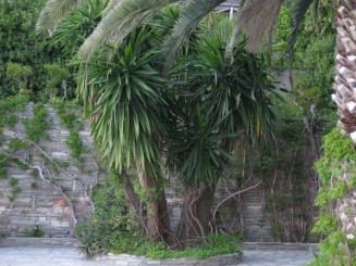 Grecia, Halkidiki: Ouranopolis (Hotel Eagles Palace)