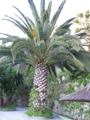 Grecia, Halkidiki: Ouranopolis (Hotel Eagles Palace)