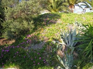 Grecia, Halkidiki: Ouranopolis (Hotel Eagles Palace)