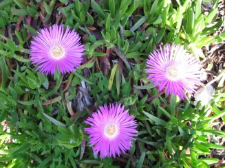 Grecia, Halkidiki: Ouranopolis (Hotel Eagles Palace)