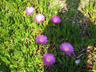 Grecia, Halkidiki: Ouranopolis