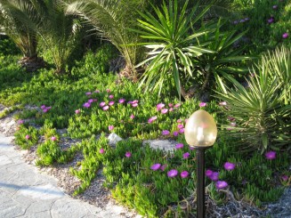 Grecia, Halkidiki: Ouranopolis (Hotel Eagles Palace)