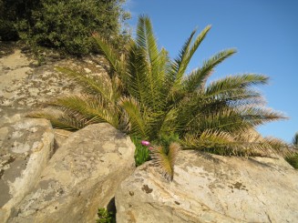 Grecia, Halkidiki: Ouranopolis