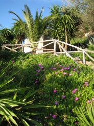 Grecia, Halkidiki: Ouranopolis (Hotel Eagles Palace)