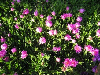 Grecia, Halkidiki: Ouranopolis (Hotel Eagles Palace)