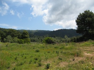 Grecia, Halkidiki: Ouranopolis